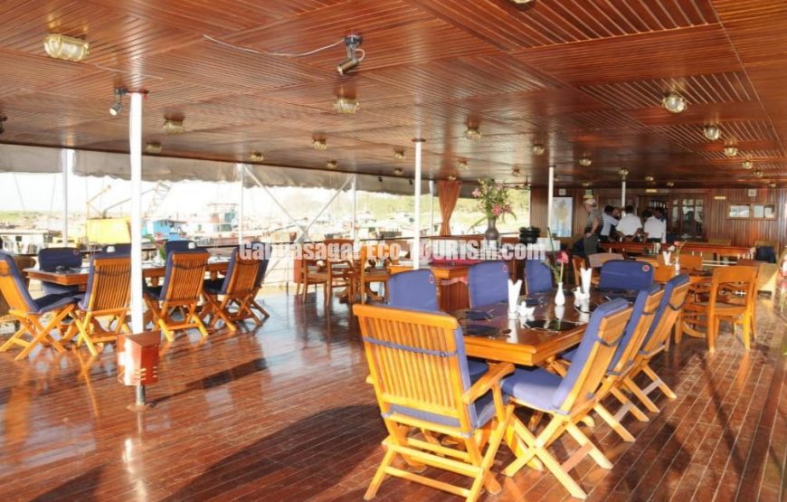 OIGET Luxury Cruise House Boat