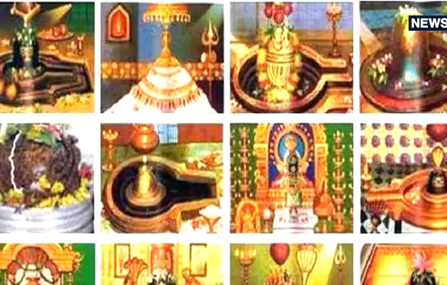 Twelve Jyotirlinga Yatra -28 days