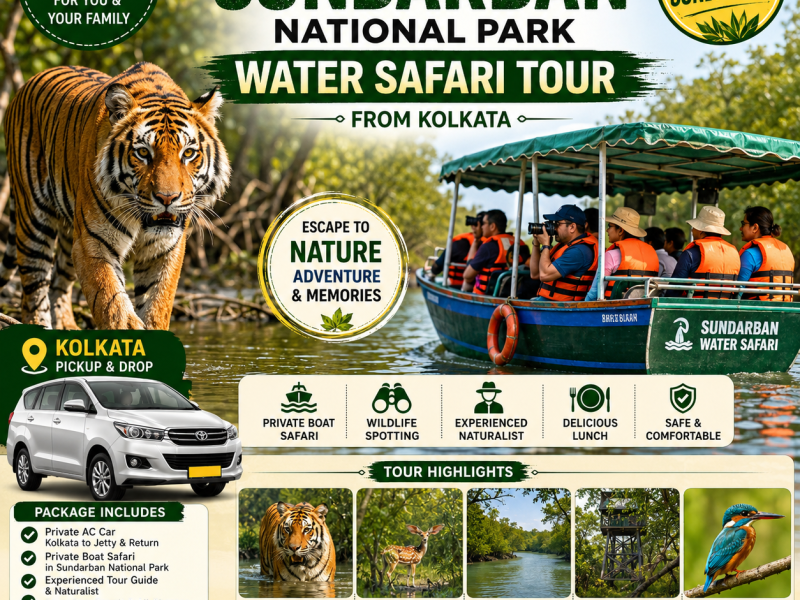 One Day Sundarban Water Safari, Sundarban National Park Boat Safari, Godkhali to Sundarban Tour, Sundarban Day Tour from Kolkata, Mangrove Forest Sundarban, Sundarban Wildlife Safari, Royal Bengal Tiger Habitat, Sajnekhali Watch Tower, Sundarban Boat Cruise, Kolkata to Sundarban Water Safari,